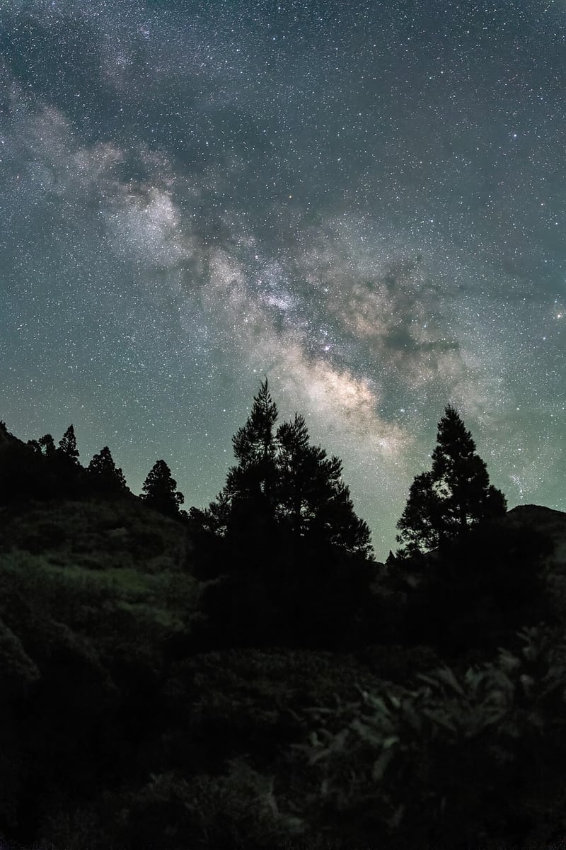 Stargazing at Wilderness Lodge